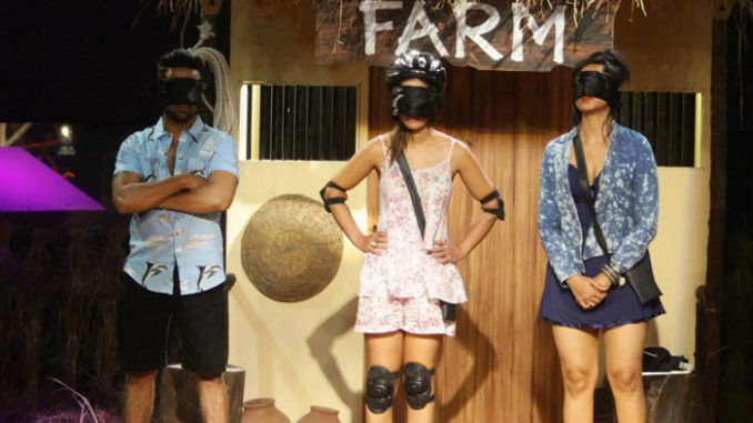 Bigg Boss 11 contestants perform the Farm task